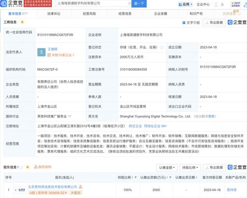 網(wǎng)絡(luò)與信息安全軟件開發(fā) 構(gòu)筑數(shù)字世界的堅(jiān)實(shí)防線